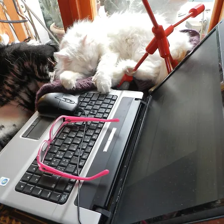 La Dolce 5* 波西塔諾