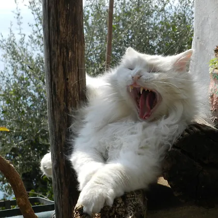 La Dolce 酒店 波西塔諾